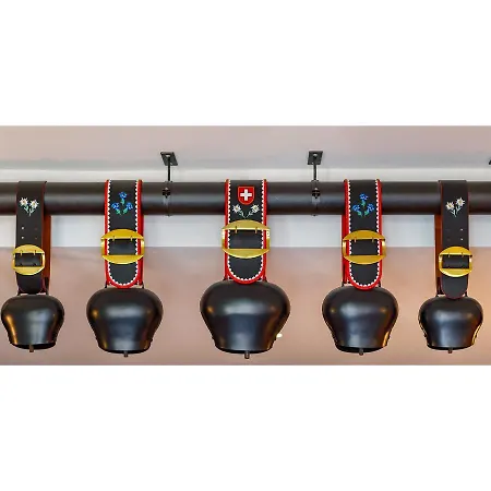 Swiss Night By Fassbind Hotel Zúrich