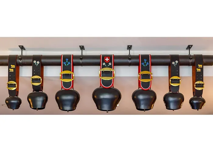 スイス ナイト バイ ファスビンド ホテル チューリッヒ