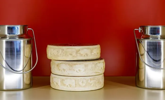 فندق سويس نايت باي فاسبيند زيورخ