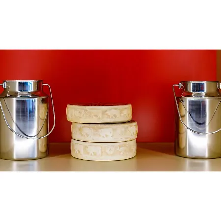 Swiss Night By Fassbind Zurich